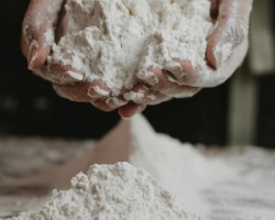 Brašno i proizvodi od brašna