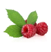 malina i list maline