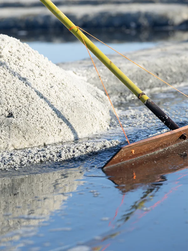 sakupljanje keltske soli