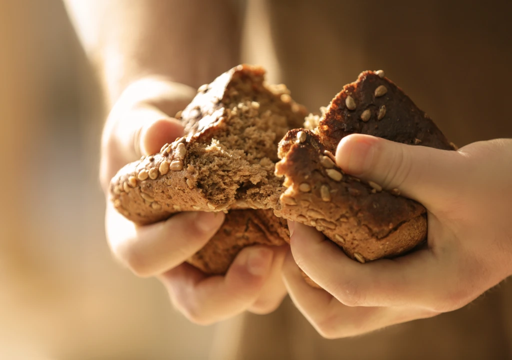 najzdravije brašno za hleb